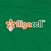 https://www.facebook.com/algacell.mx/